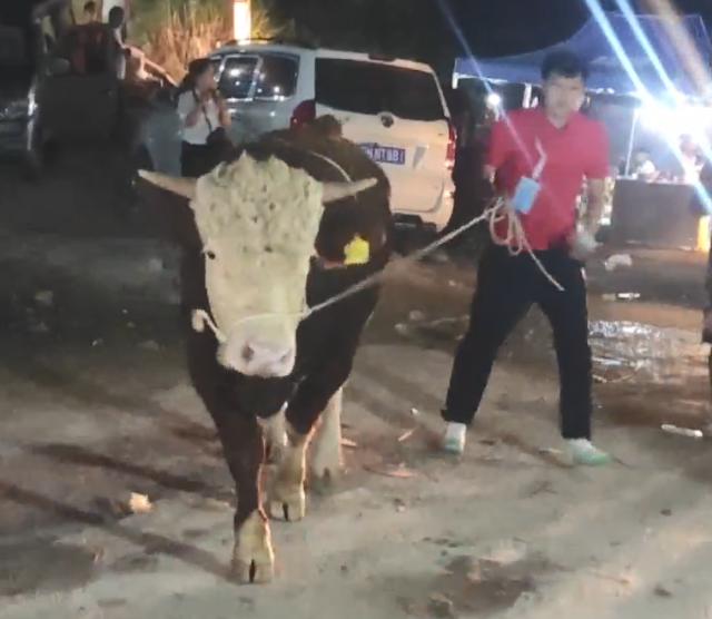 村BA —— 一条没人走过的篮球之路